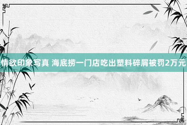 情欲印象写真 海底捞一门店吃出塑料碎屑被罚2万元