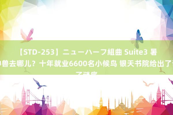 【STD-253】ニューハーフ組曲 Suite3 暑假神兽去哪儿？十年就业6600名小候鸟 银天书院给出了谜底