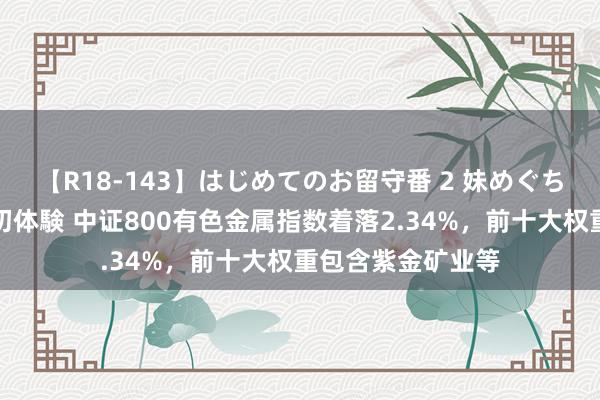 【R18-143】はじめてのお留守番 2 妹めぐちゃんのドキドキ初体験 中证800有色金属指数着落2.34%，前十大权重包含紫金矿业等