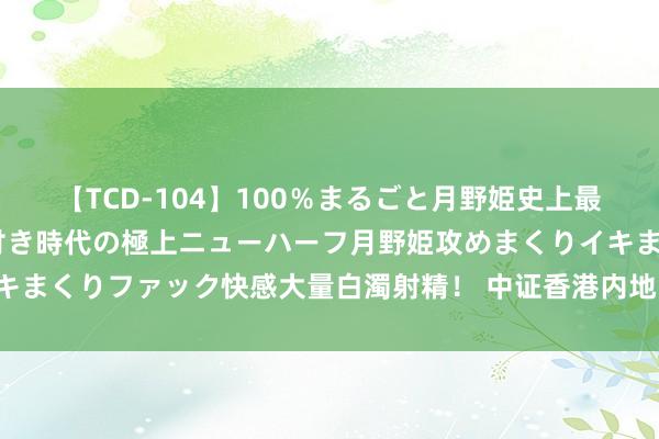 【TCD-104】100％まるごと月野姫史上最強ベスト！ 究極の玉竿付き時代の極上ニューハーフ月野姫攻めまくりイキまくりファック快感大量白濁射精！ 中证香港内地国有企业指数下落2.7%