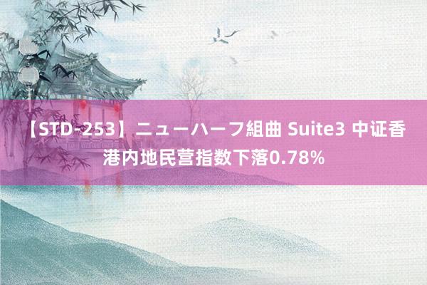 【STD-253】ニューハーフ組曲 Suite3 中证香港内地民营指数下落0.78%