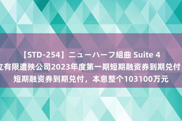 【STD-254】ニューハーフ組曲 Suite 4 泉州台商投资区开采建立有限遭殃公司2023年度第一期短期融资券到期兑付，本息整个103100万元