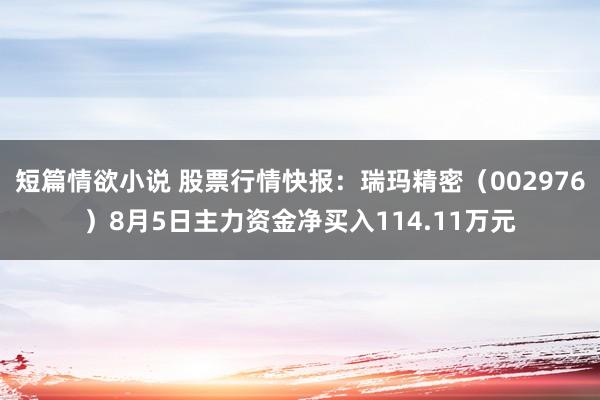 短篇情欲小说 股票行情快报：瑞玛精密（002976）8月5日主力资金净买入114.11万元