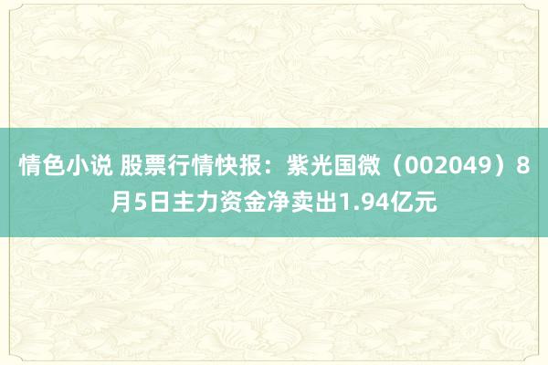 情色小说 股票行情快报：紫光国微（002049）8月5日主力资金净卖出1.94亿元