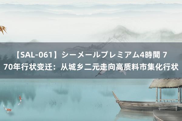 【SAL-061】シーメールプレミアム4時間 7 70年行状变迁：从城乡二元走向高质料市集化行状