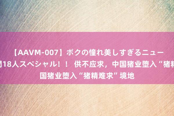 【AAVM-007】ボクの憧れ美しすぎるニューハーフ4時間18人スペシャル！！ 供不应求，中国猪业堕入“猪精难求”境地