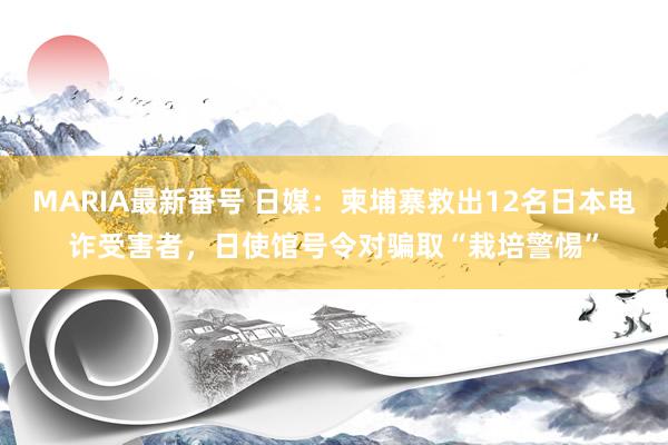 MARIA最新番号 日媒：柬埔寨救出12名日本电诈受害者，日使馆号令对骗取“栽培警惕”