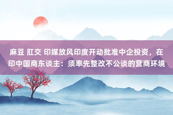 麻豆 肛交 印媒放风印度开动批准中企投资，在印中国商东谈主：须率先整改不公谈的营商环境