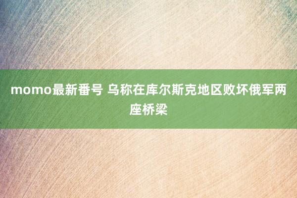 momo最新番号 乌称在库尔斯克地区败坏俄军两座桥梁