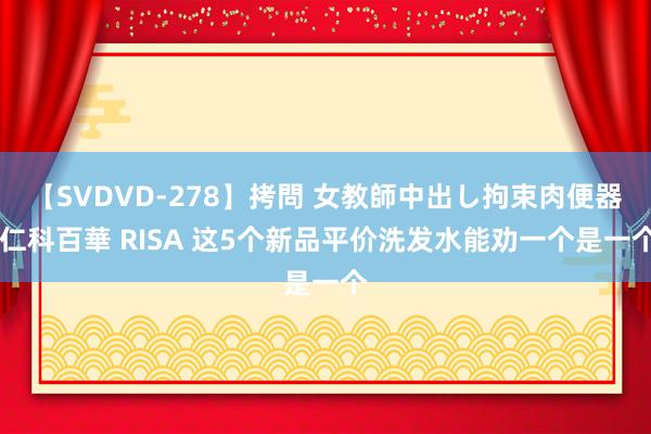 【SVDVD-278】拷問 女教師中出し拘束肉便器 仁科百華 RISA 这5个新品平价洗发水能劝一个是一个