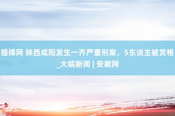 插揷网 陕西咸阳发生一齐严重刑案，5东谈主被赏格_大皖新闻 | 安徽网