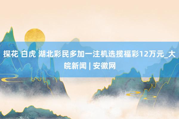 探花 白虎 湖北彩民多加一注机选揽福彩12万元_大皖新闻 | 安徽网