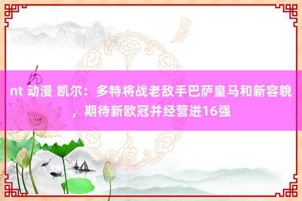 nt 动漫 凯尔：多特将战老敌手巴萨皇马和新容貌，期待新欧冠并经营进16强