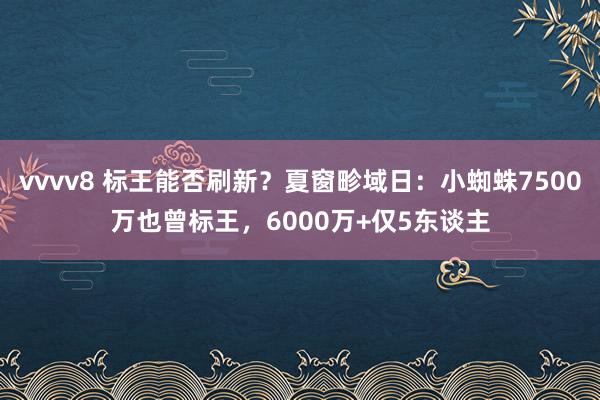 vvvv8 标王能否刷新？夏窗畛域日：小蜘蛛7500万也曾标王，6000万+仅5东谈主