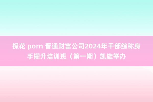 探花 porn 晋通财富公司2024年干部综称身手擢升培训班（第一期）凯旋举办