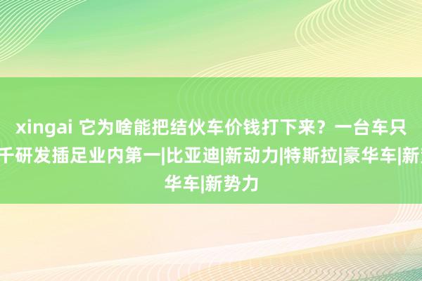 xingai 它为啥能把结伙车价钱打下来？一台车只挣8千研发插足业内第一|比亚迪|新动力|特斯拉|豪华车|新势力